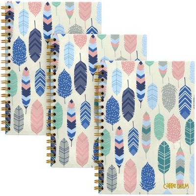 Spirálfüzet, B5, vonalas, 80 lap, FSC, PUKKA PAD "Carpe Diem", toll minta